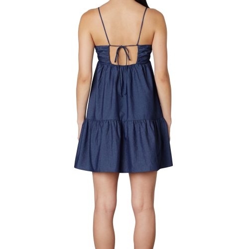 Charli Dress in Indigo Back View