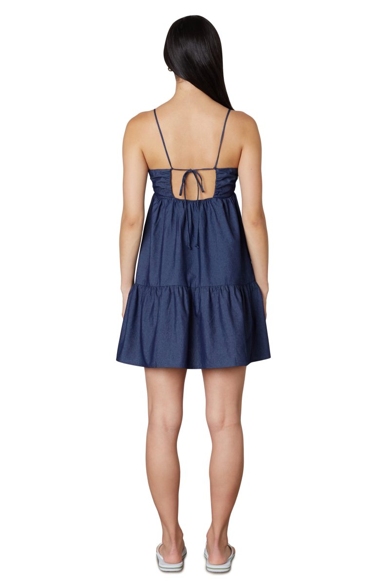 Charli Dress in Indigo Back View